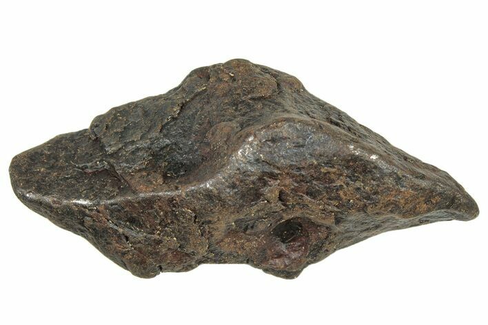 Canyon Diablo Iron Meteorite ( g) - Arizona #303511